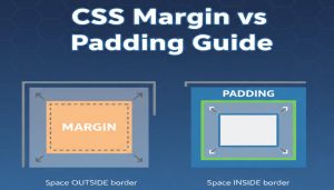CSS Margin vs Padding Guide - CSSPortal
