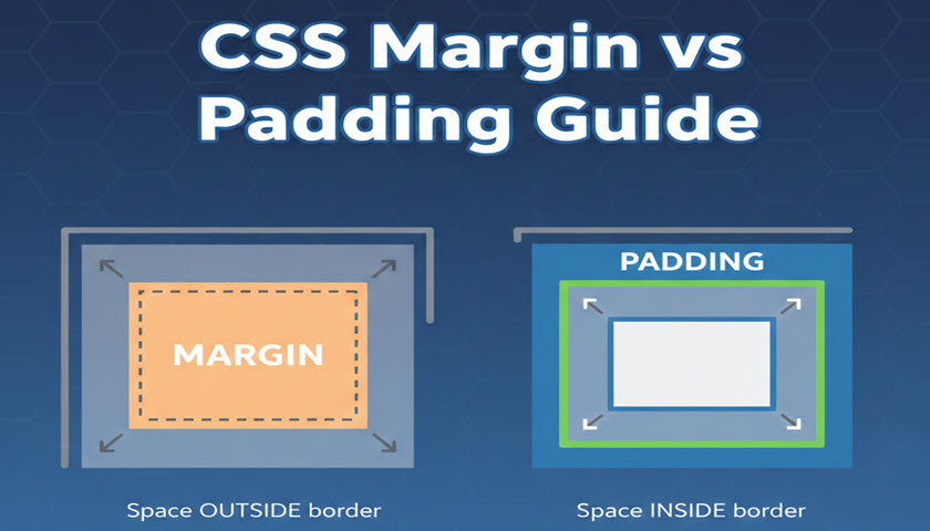 CSS Margin Padding